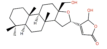 Lintenolide G